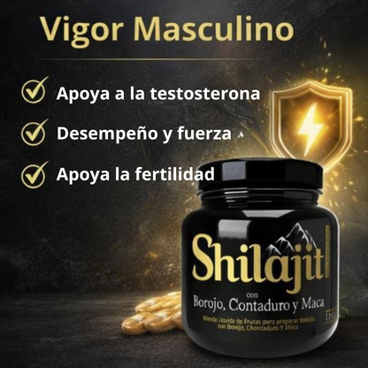 SHILAJIT JALEA X 120 CON REGISTRO INVIMA